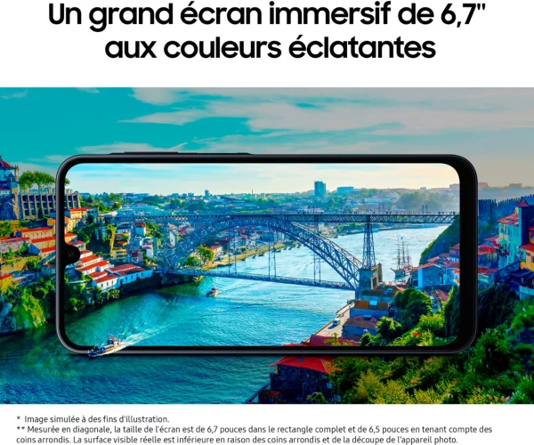 d21665e0-beec-4c8a-8950-decc97e317c0.jpg